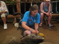 IMG 0612