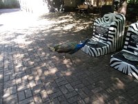 IMG 1858