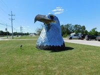2017PurelyMichigan-Day2-51