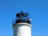 2017PurelyMichigan-Day2-66