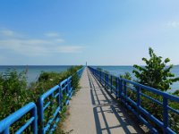 2017PurelyMichigan-Day3-21