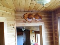 2017PurelyMichigan-Day5-45