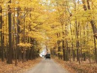 Fall Color Tour